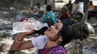 В Индии от жары погибли уже более 1000 человек